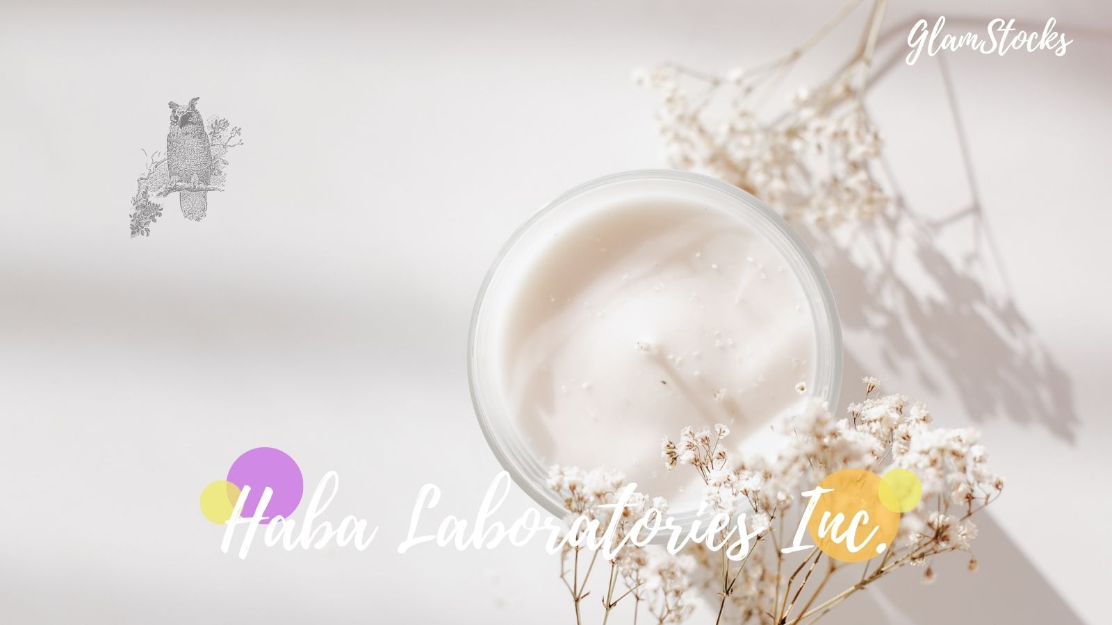 HABA 株式会社ハーバー研究所 株主優待券★1000円割引券×10枚★2019年6月30日期限★カタログ、オーダーシート、封筒★定形外郵便送料無料 HABA（優待券⁄割引券）のフリマアイテム一覧